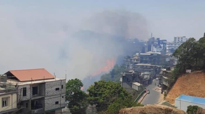 Policy red flags burn bright in India’s forest fire problem