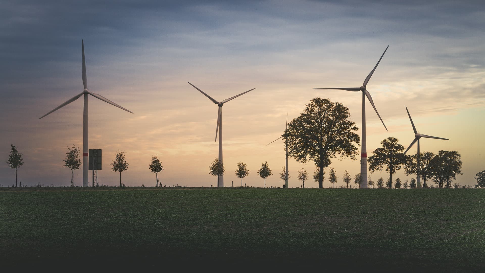 Over-use of CDR in Climate Targets Risks Breaching 1.5°C Limit: Study 