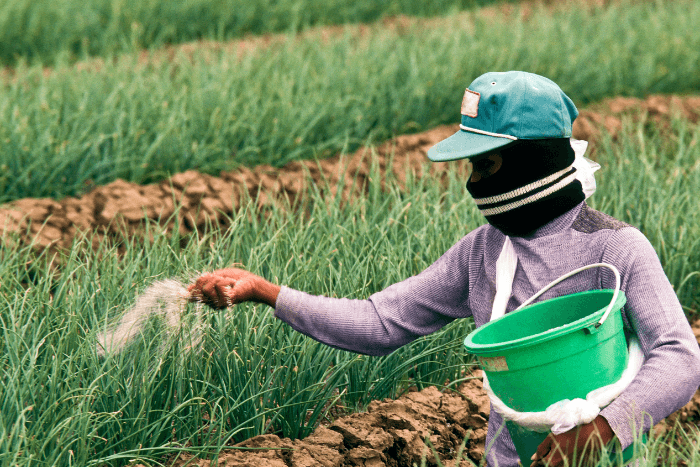 Dual dilemma: Agriculture in India suffering from and contributing to biodiversity loss