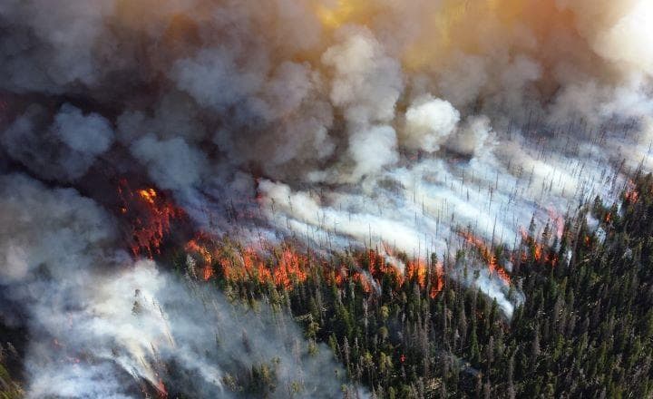 Fire Hazard: How climate change is derailing lofty carbon offset hopes