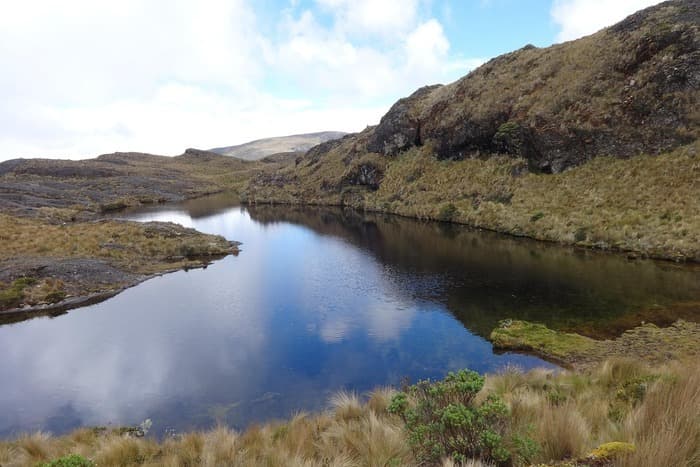 Only One-Third of River Basins in Normal Condition in 2024: Report 