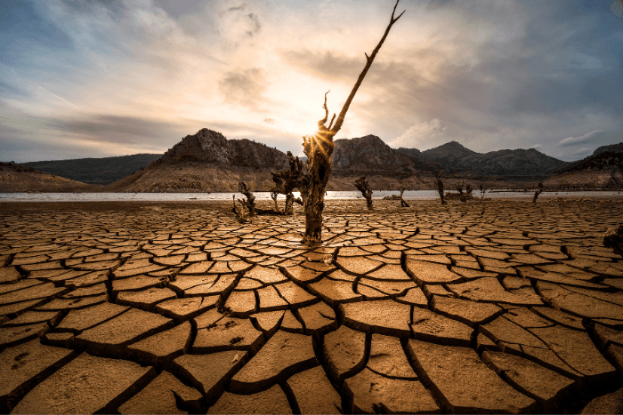 Heatwaves 2023: Scorching health, livelihood in India