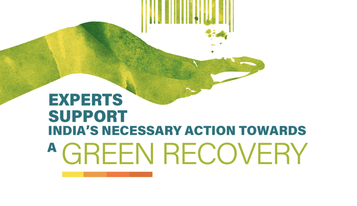 India’s Road To A Green Recovery – Experts Speak