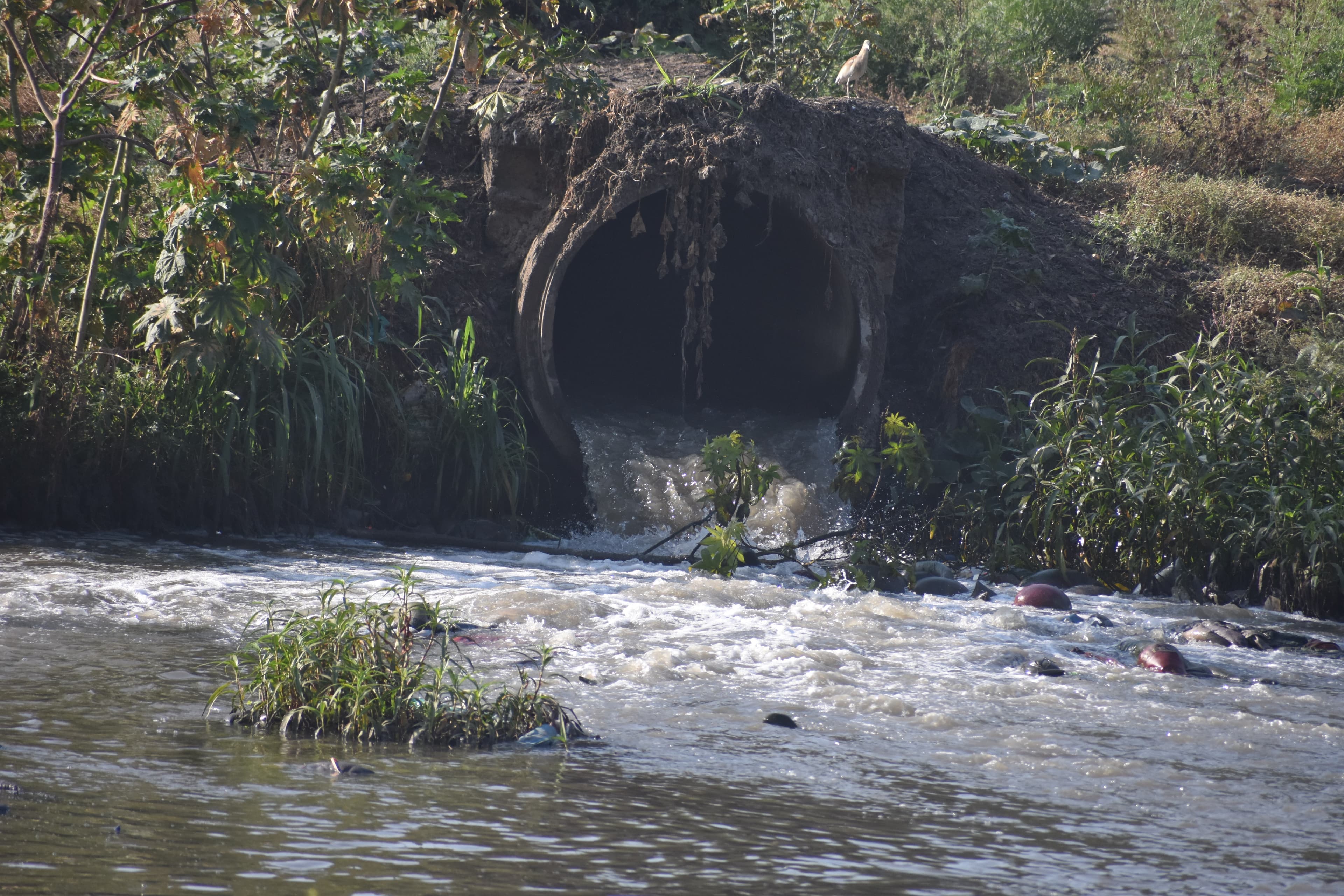 Uranium contamination of Delhi’s groundwater: Green court seeks answers from Delhi government, pollution body