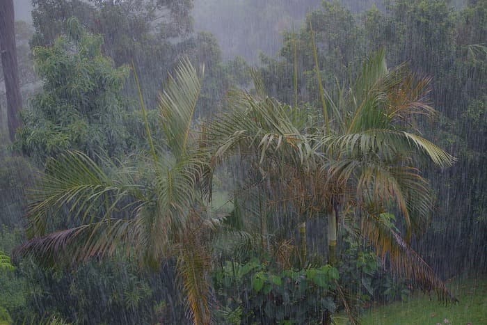 At least 10 dead in heavy rain in Maharashtra, Mumbai crosses 3000 mm threshold 