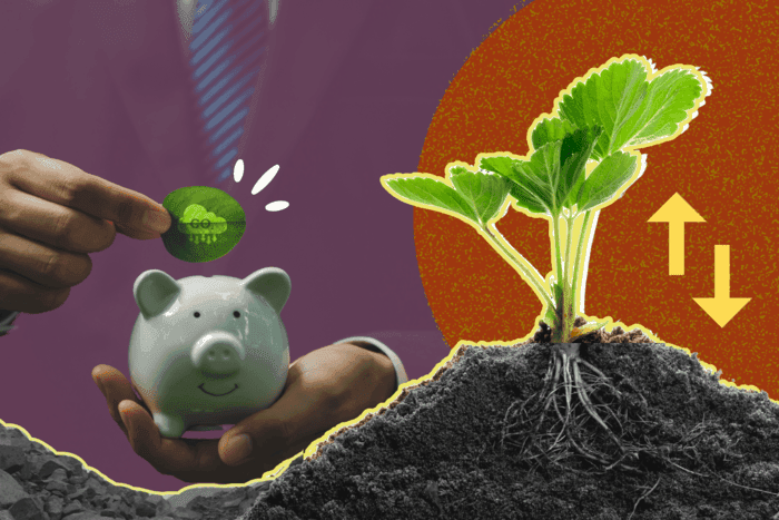 Can biochar be India’s missing link to carbon capture?