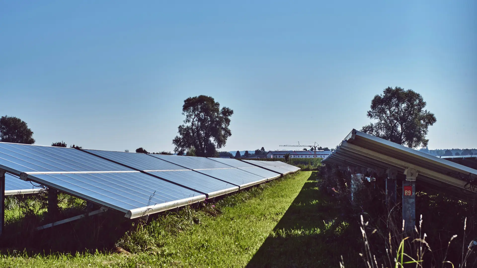 Net-zero and India: To pledge, or not to pledge, that is the question