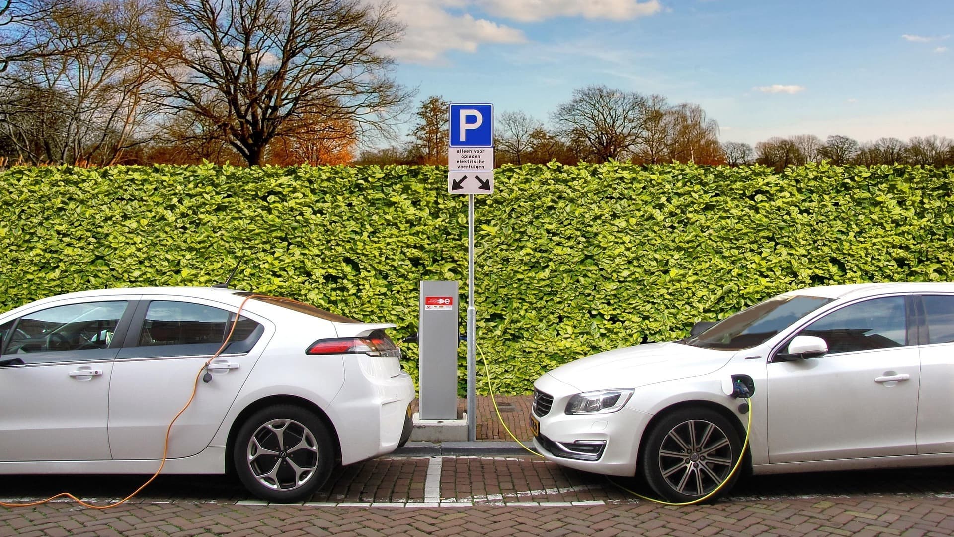 Global Automakers Pivot as Electric Vehicle Demand Declines