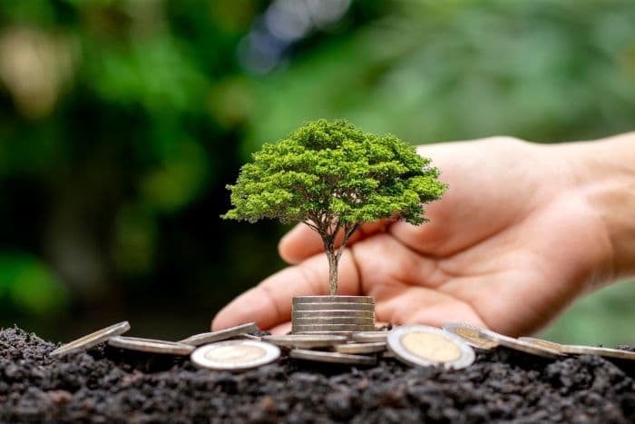 India’s climate finance revolution: how financial institutions can transform with the new taxonomy 