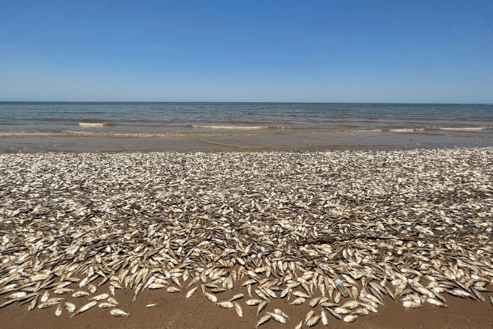 On the boil: The unseen risks of marine heatwaves