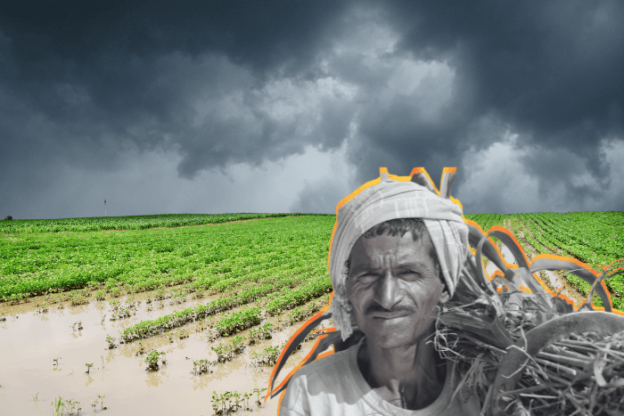 Rain and ruin: How climate extremes are fueling Marathwada’s agrarian crisis 