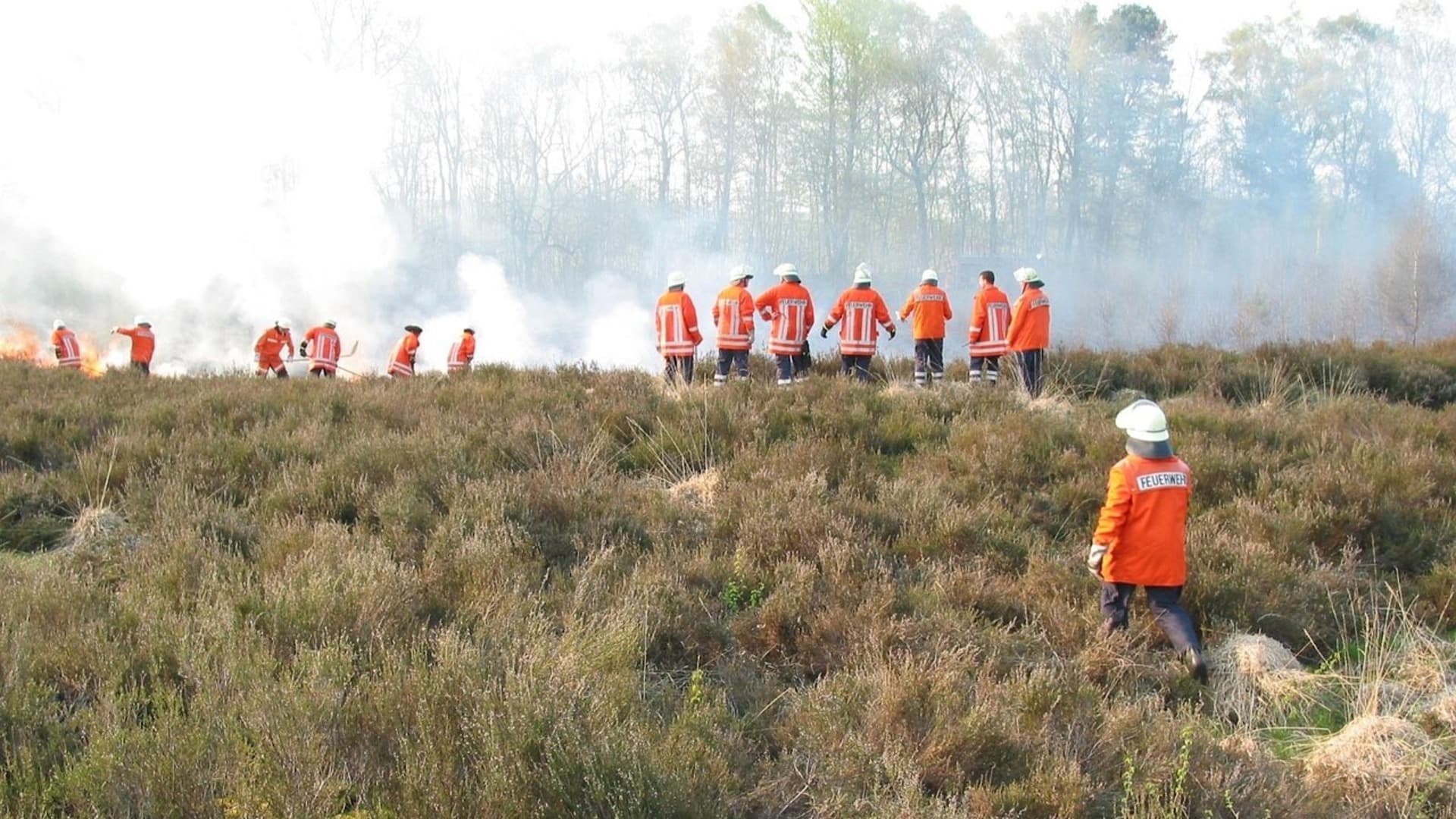 Businesses at Risk of Extinction Without Urgent Biodiversity Action: Report 