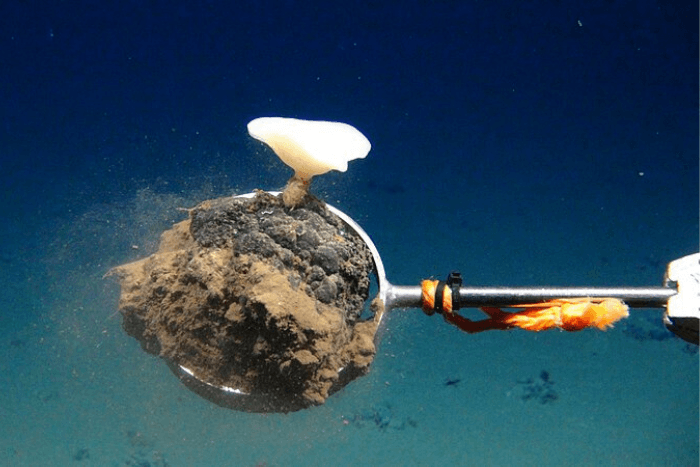 Deep sea critical minerals for energy transition: Mine over matter