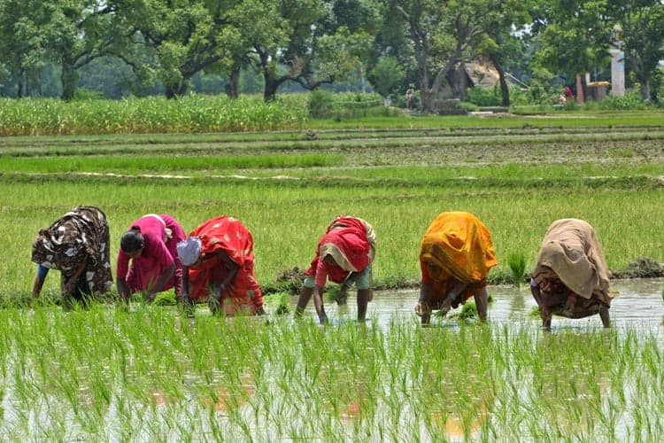 “Women affected by climate change should get property rights, especially in agricultural sector”