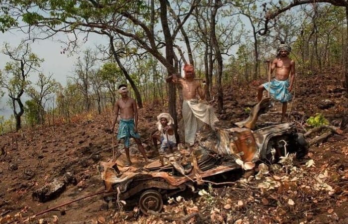 Whose forest is it anyway?