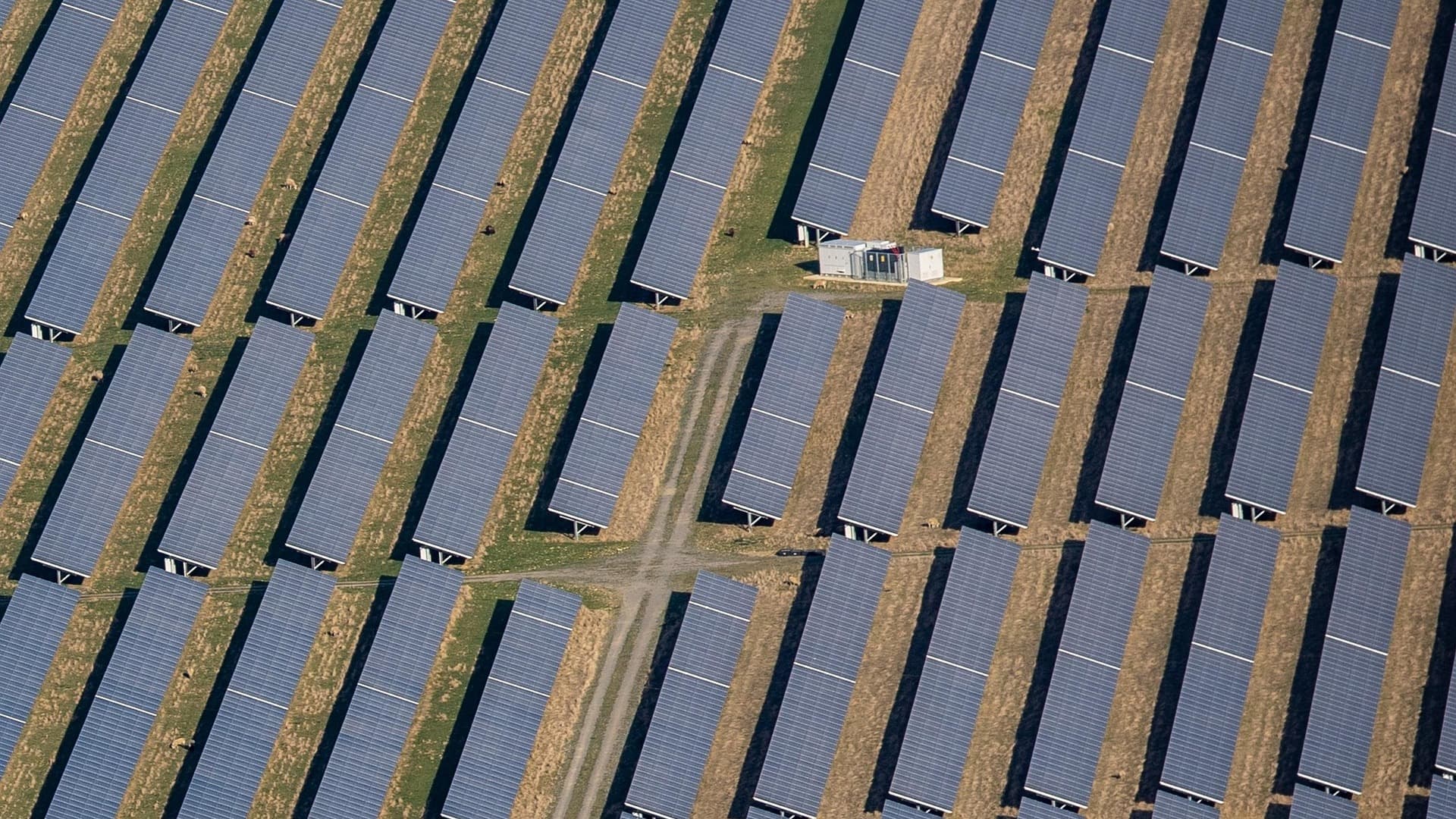 Africa Records Fastest Year of Solar Growth as Installation Rises