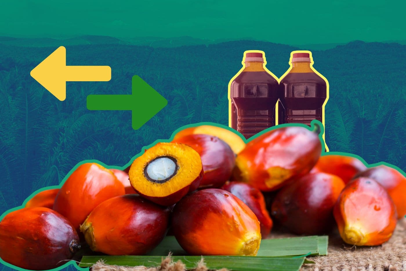 Can green trade barriers save the environment?